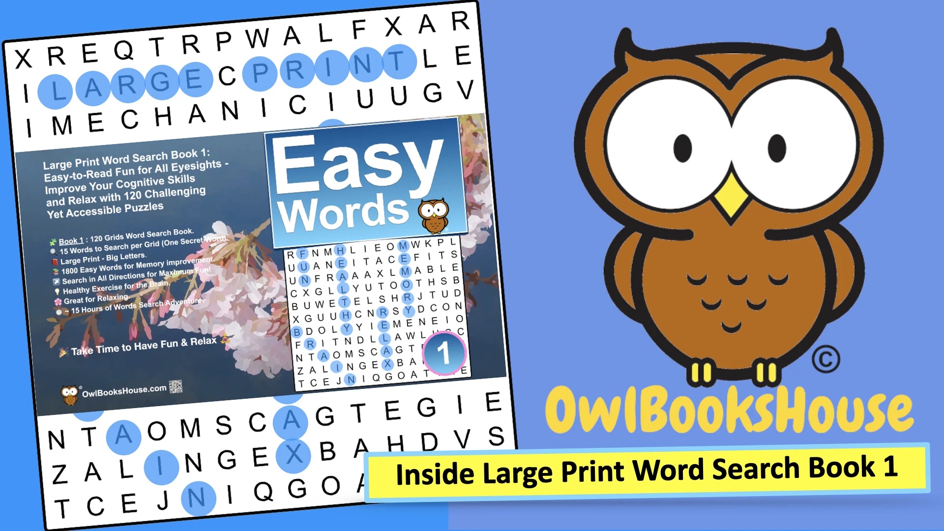 Video Thumbnail image